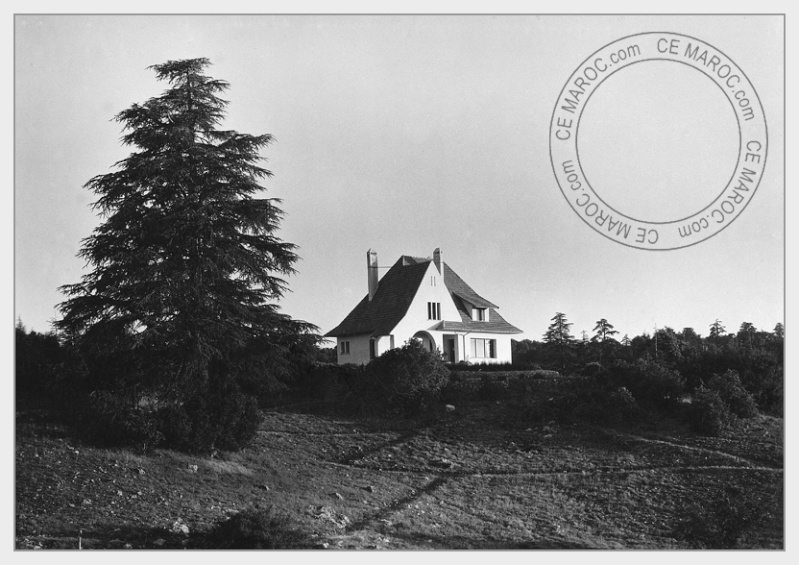 Ifrane, les cèdres. 04-29010