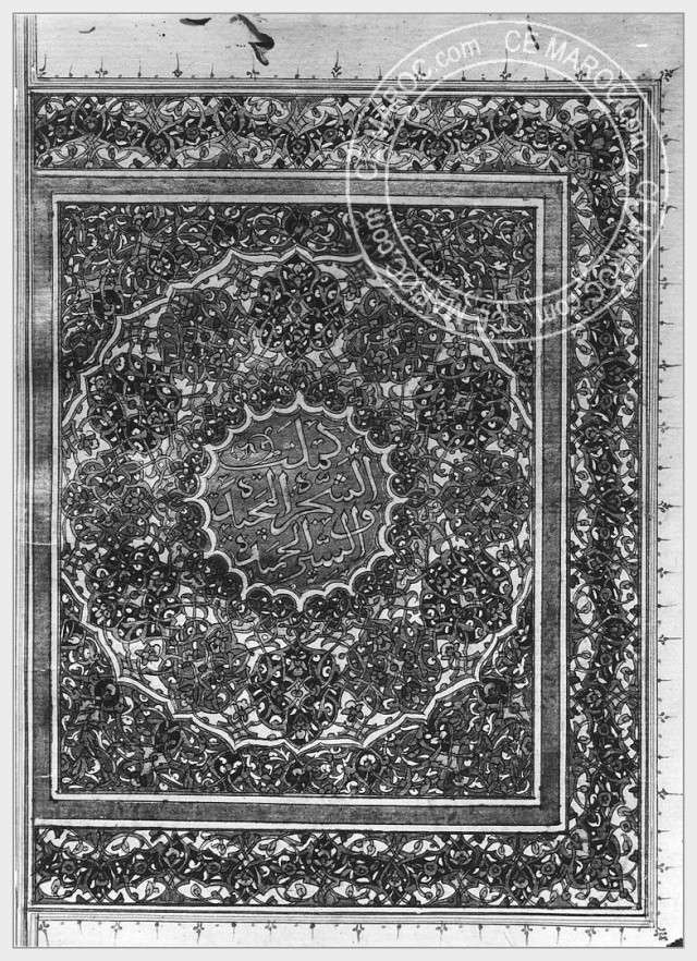 Fez : l'enluminure. 09-20710