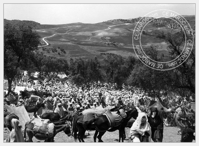 Moussem de Moulay Bouchta et l'Amergou. 12-22710