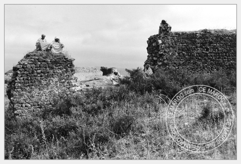 Moussem de Moulay Bouchta et l'Amergou. 18-25210