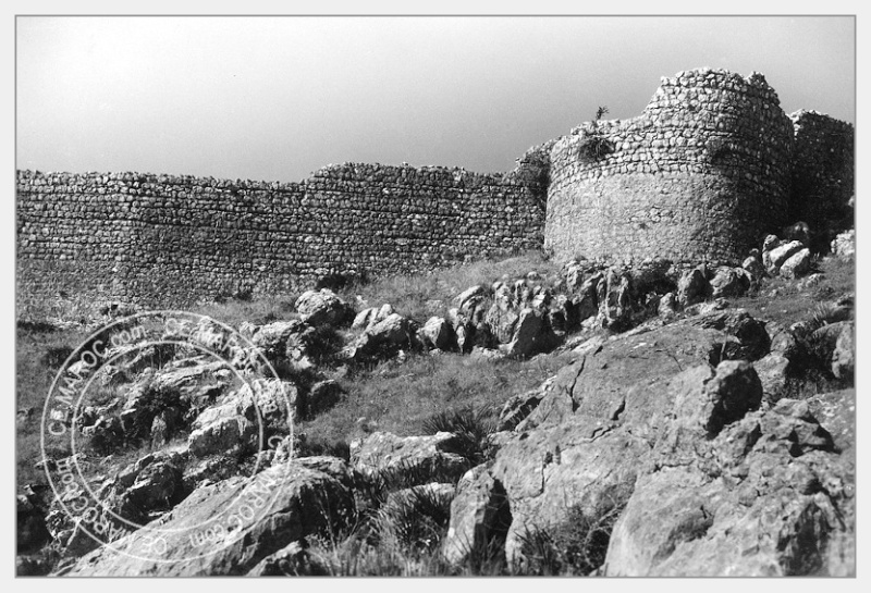 Moussem de Moulay Bouchta et l'Amergou. 23-24710