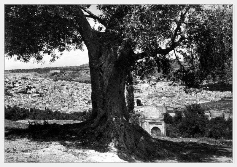  Fez : hors des murs. 3-c23610