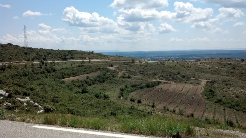 sortie sur Mallemort- La roque d'A.- Lambesc Img_2025