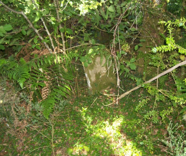Le cimetière de Plainartige. Tombe_11