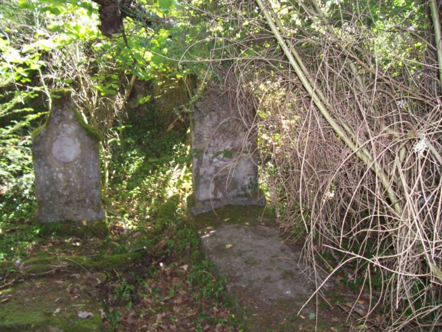 Le cimetière de Plainartige. Tombes10