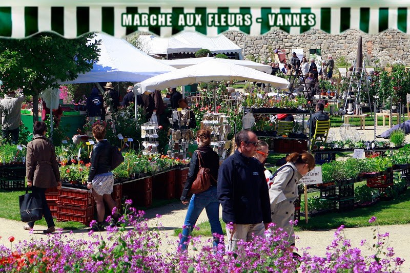 Concours Photo du mois d'octobre 2012. Thème : "Au marché" Ushi_d11