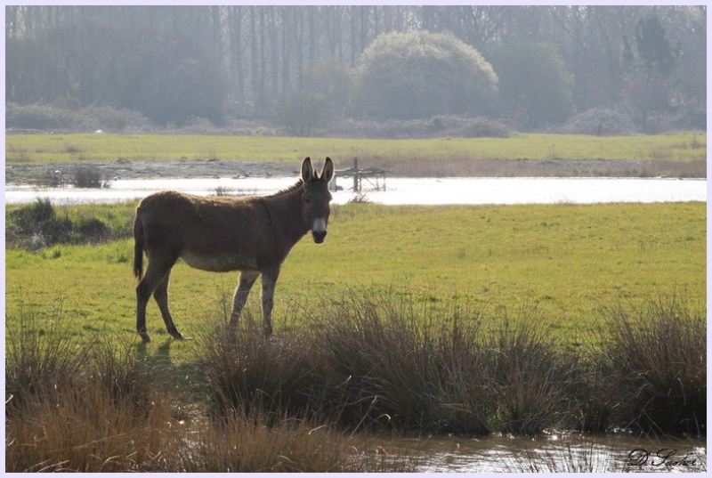 Une très belle photo par jour et par membre - Page 9 Blog-a10