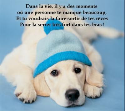 Citations Sur Le Chien Page 2