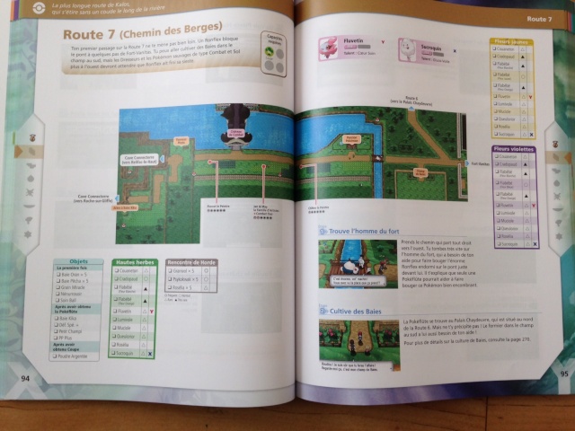 [Nintendo] Pokémon tout sur leur univers (Jeux, Série TV, Films, Codes amis) !! - Page 7 Fullsi11