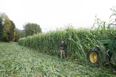 Taux de matière organiques faible Couver10