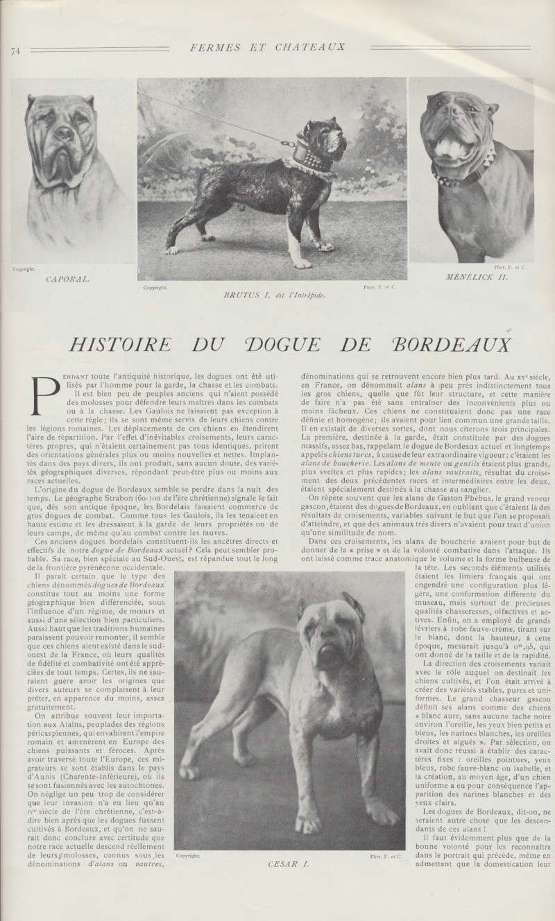 STORIA DEL DOGUE DE BORDEAUX- rivista del 1 NOVEMBRE 1909 dal titolo ""Fermes et Châteaux"" Histoi11