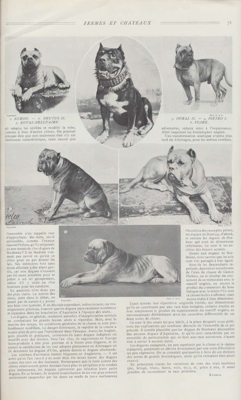 STORIA DEL DOGUE DE BORDEAUX- rivista del 1 NOVEMBRE 1909 dal titolo ""Fermes et Châteaux"" Histoi12