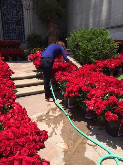 Achetez une rose pour Michael , 5ans déjà............. 10489911