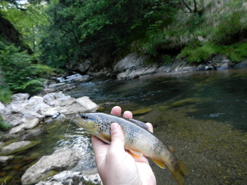 La Pêche Dscn2018