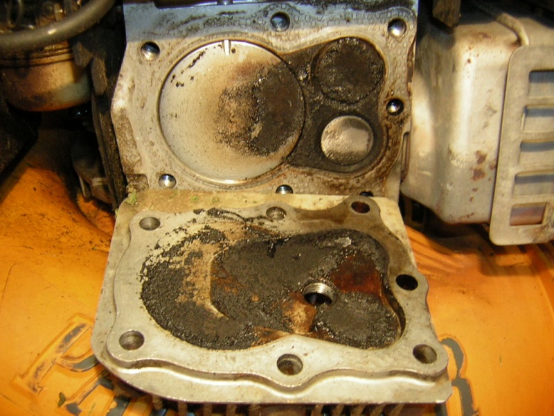 problema carburazione motore Briggs&Stratton Dscn0410