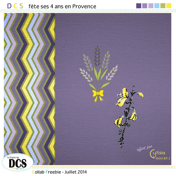 DCS fête ses 4 ans en Provence - juillet 2014 - Page 4 Pv-kit11