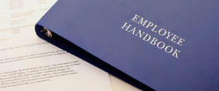 The Handbook