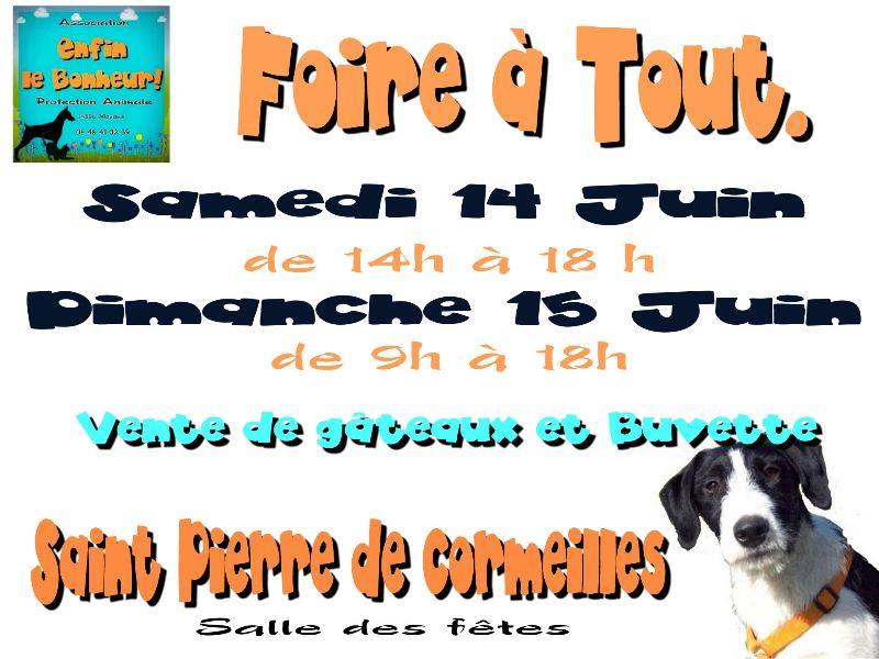 foire a tout 14/15 juin a St Pierre de Cormeilles 27 Ass.ELB 10345510