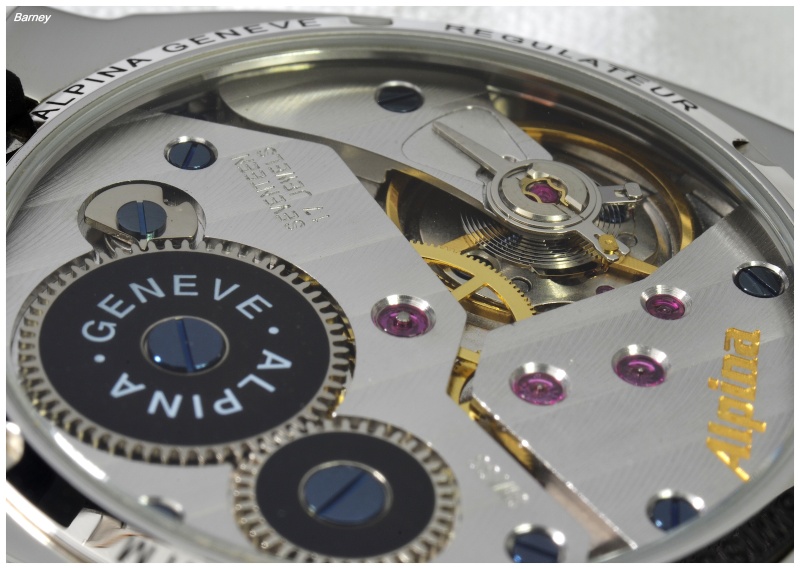 frederique constant - Le club des heureux possesseurs d'ALPINA - tome III - Page 2 Dsc_0133