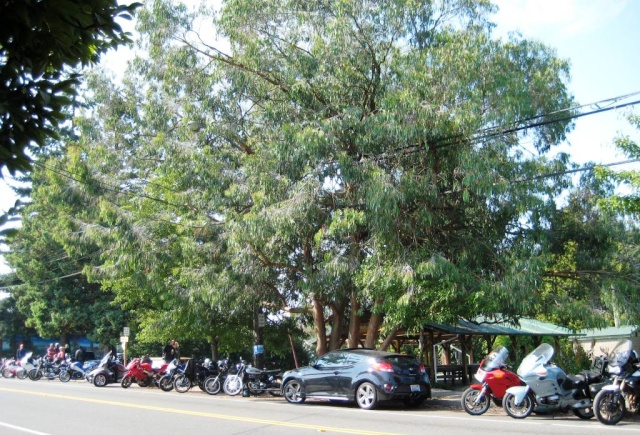 Vintage Motorcycle Enthusiast's Isle of Vashon classic meet Img_3916