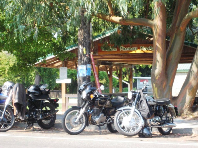 Vintage Motorcycle Enthusiast's Isle of Vashon classic meet Img_3917