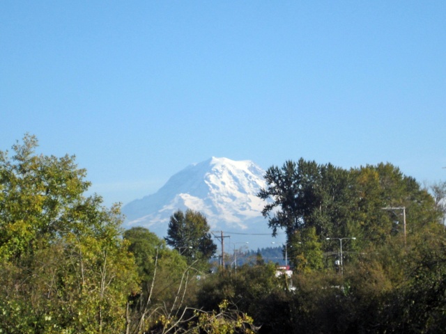 A quick ride to Mowich Lake, Mt Rainier Img_4210