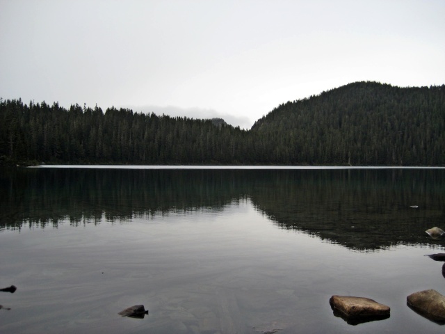 A quick ride to Mowich Lake, Mt Rainier Img_4312