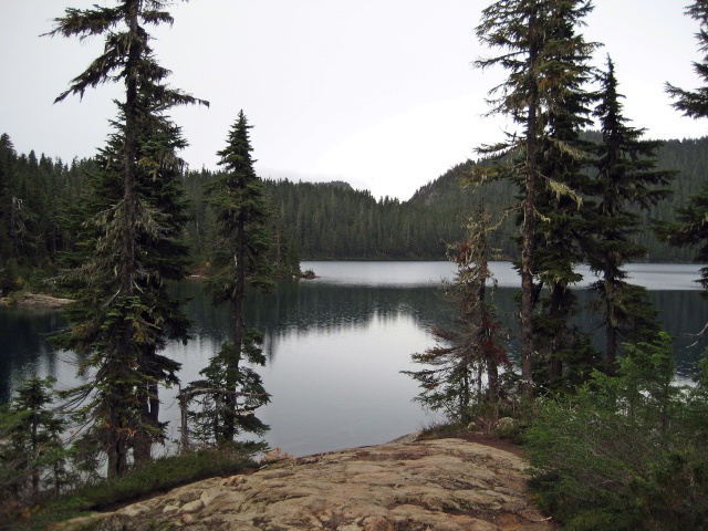 A quick ride to Mowich Lake, Mt Rainier Img_4314