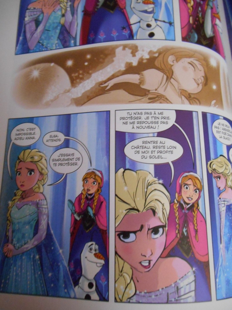 La Reine des Neiges - Page 23 Dscn1511
