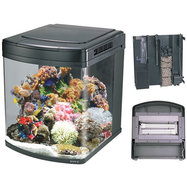 avis sur aquarium marin Aquari11