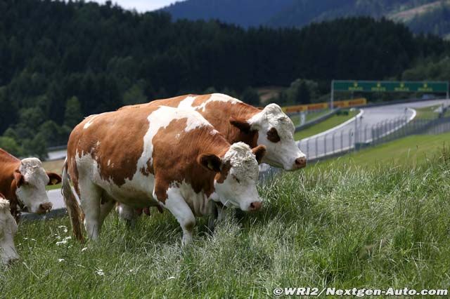 La photo du weekend :  Le Grand Prix d'Autriche - Les votes !! 00910