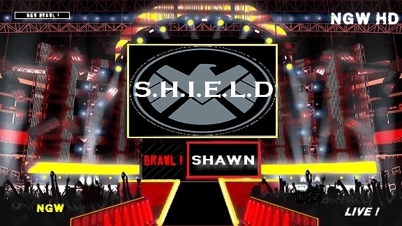 NGW BRAWL 20 ! Shield10