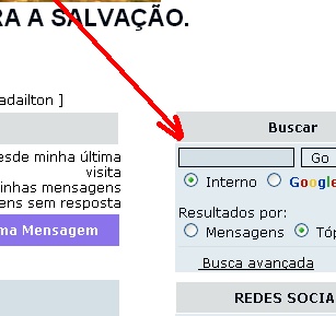 Queria colocar minha caixa de busca igual a que temos aqui do fdf  Imagem21