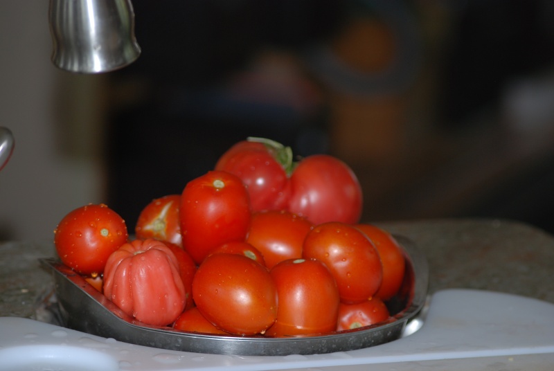 tomato roasting question Dsc_0214