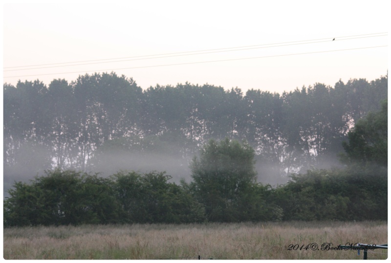 Brume, brouillard d'automne Cadre258
