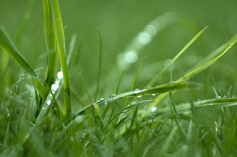 POTD Lumix du 28/07/2014 P1130511