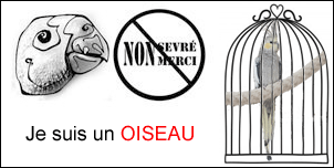 Trouvé perruche dans le 95 Signat10
