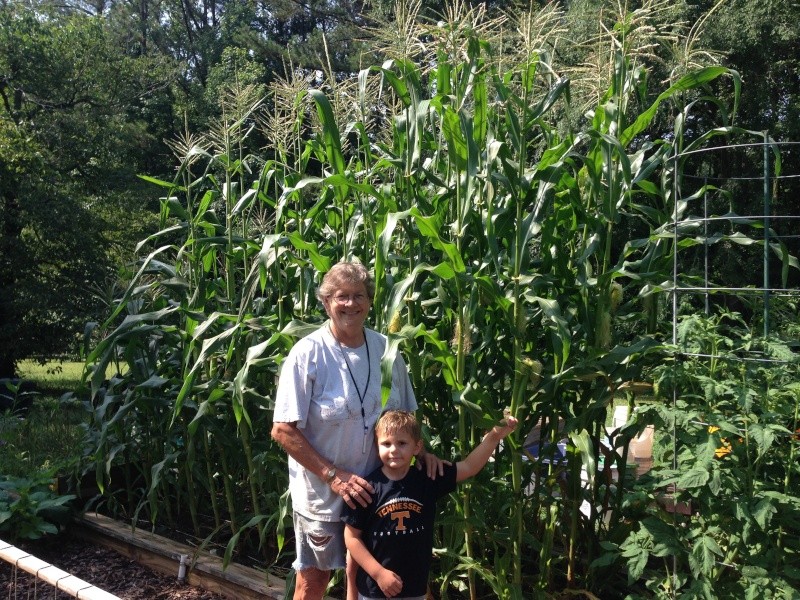 2014 SFG in Brooks, GA - Page 3 Corm_m10