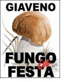 FUNGO IN FESTA - GIAVENO (TO) Fungo10