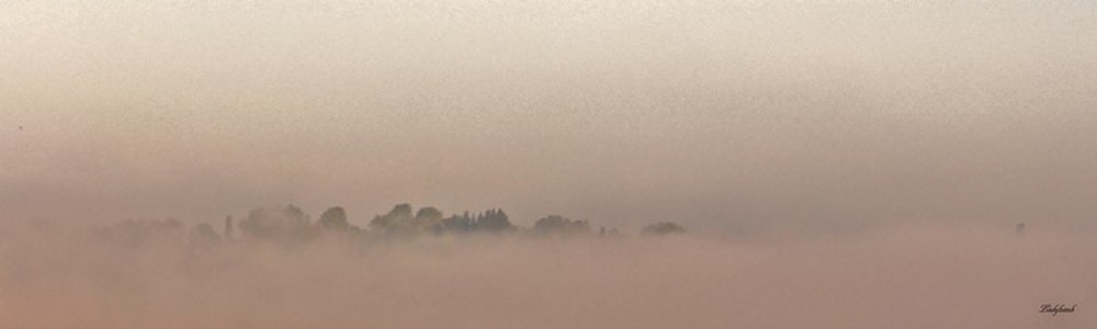 brume et brouillard Img_3412