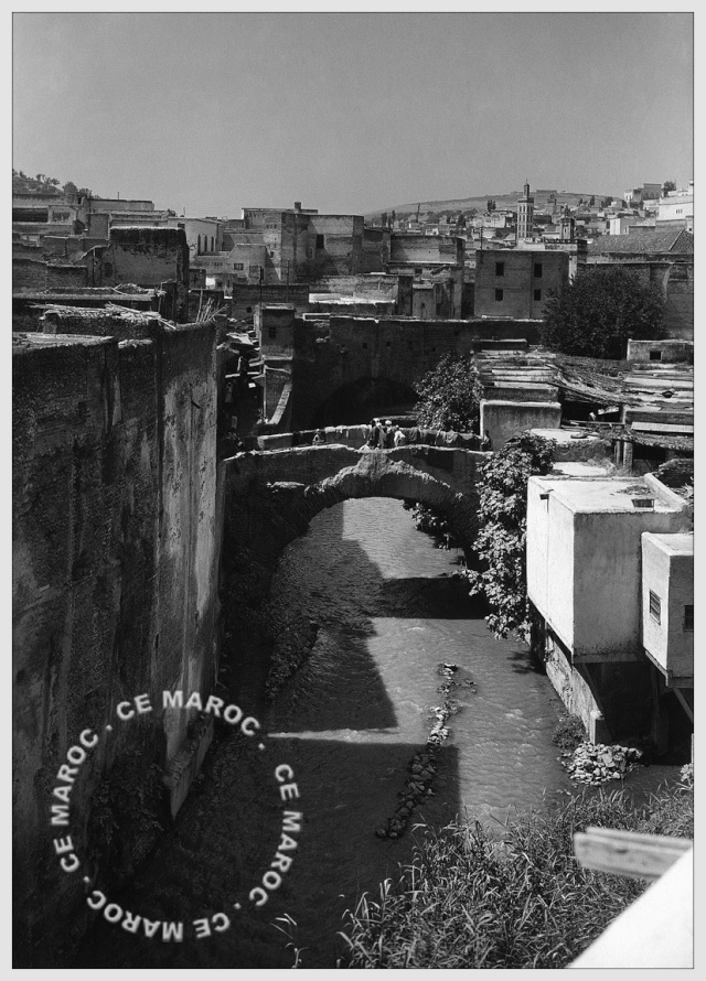Fez : dans les murs. 1310