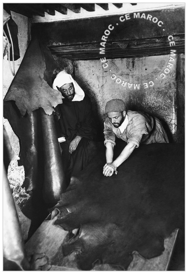 Fez : les tanneurs et l'artisanat du cuir. 14310