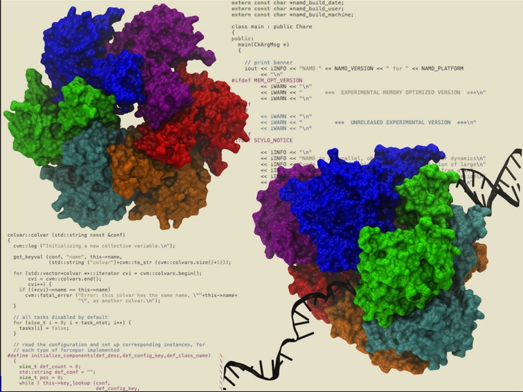 Hexameric helicases some of the most complex machines on Earth Helica10