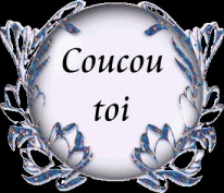 Bon Anniversaire Brocéliande Gif_an10