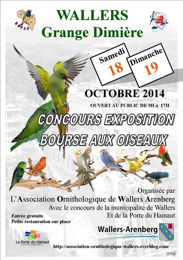 concours , exposition , bourse aux oiseaux le 18 et 19 octobre à Wallers , ( Valencienne ) 10511510