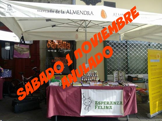 Esperanza Felina en "El Mercado de La Almendra" en Vitoria - Página 23 Anulad10
