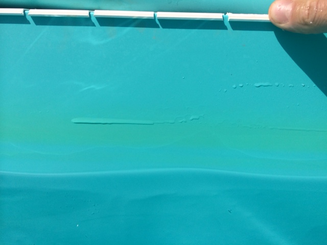 décolaration jaune / vert fluo sur ligne d'eau du liner Linerj12