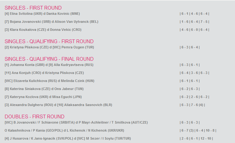 WTA ISTANBUL 2014 : infos, photos et vidéos Hambou16