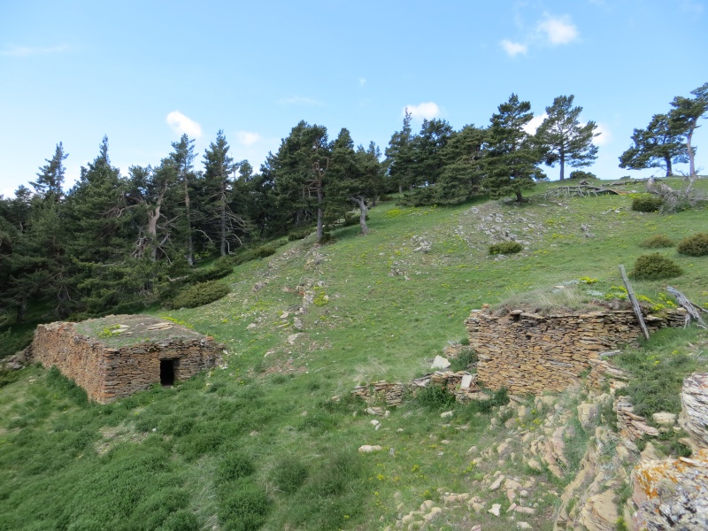 Sentier des Bergeries (Jujols) Img_0713