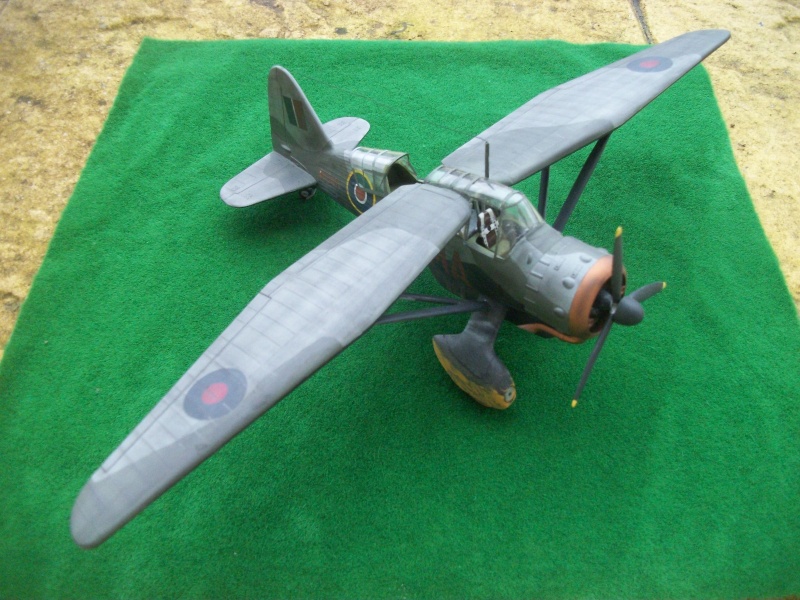 lysander - (VITRINE PROJET AA)  WESTLAND LYSANDER 1/48   100_3322